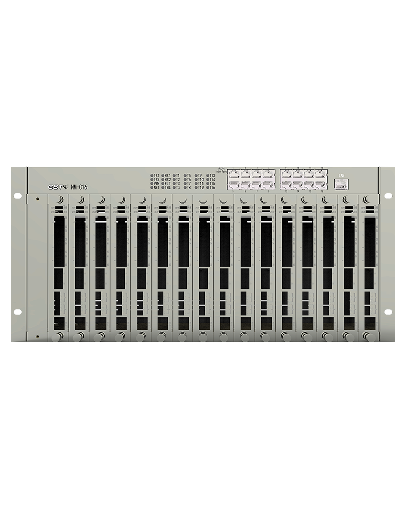 NM-C16 16-Channel Network Module